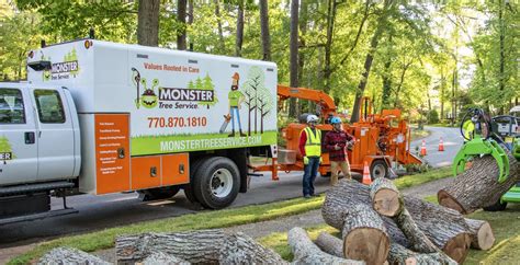 Monster tree services - Monster Tree Service was amazing. They remove four large trees and a lot of brush and shrubs ground the stumps down to below ground level removed the debris in a day and half. I am very satisfied with their work and would recommend them to anyone needing tree services. 5.0 William O. Lee&amp;#39;s Summit, MO 9/3/2021 ...